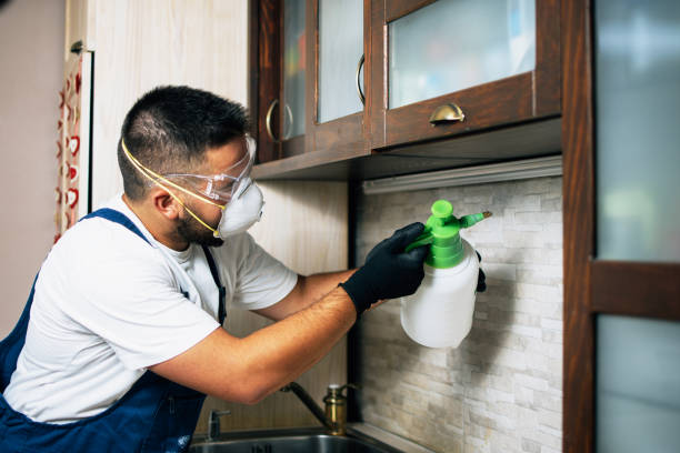 Best Pest Prevention Services  in Hustisford, WI