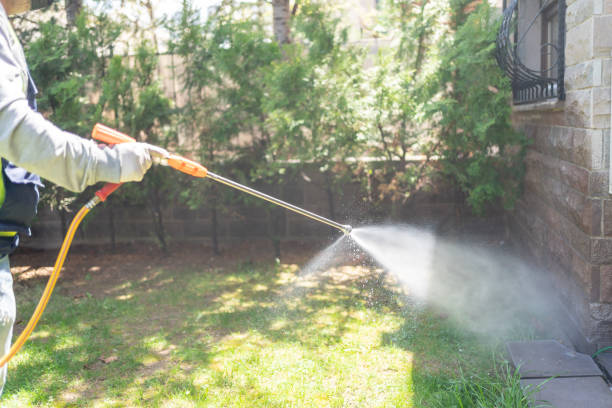 Best Local Pest Control Services  in Hustisford, WI