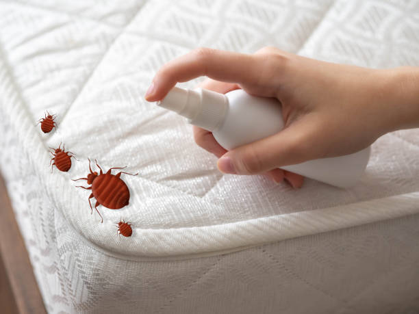 Best Emergency Pest Control  in Hustisford, WI