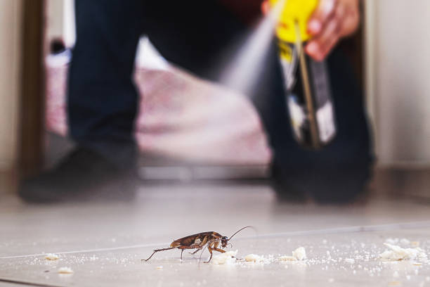 Best Ant Control Services  in Hustisford, WI